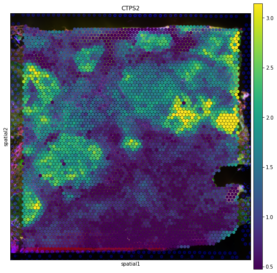 ../_images/tutorials_denoising_and_regulon_inference_11_0.png