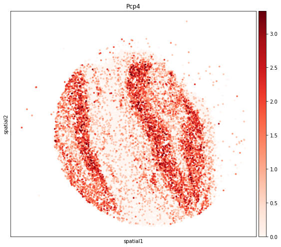 ../_images/tutorials_slide_seq_olfactory_bulb_29_0.png