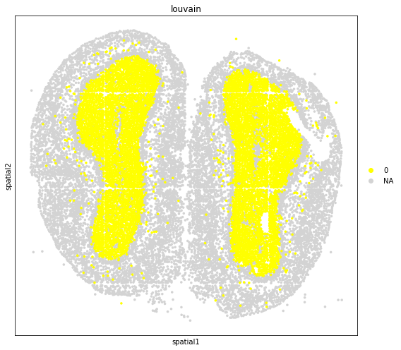 ../_images/tutorials_stereo_seq_olfactory_bulb_29_0.png