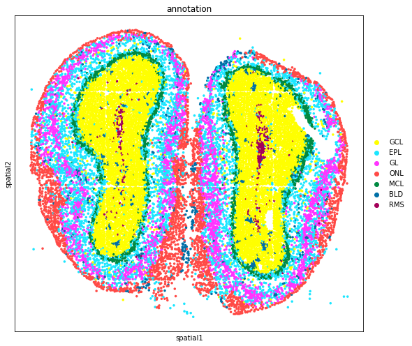 ../_images/tutorials_stereo_seq_olfactory_bulb_37_0.png