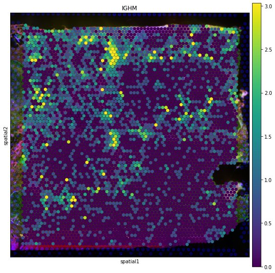 ../_images/tutorials_denoising_and_regulon_inference_13_0.png