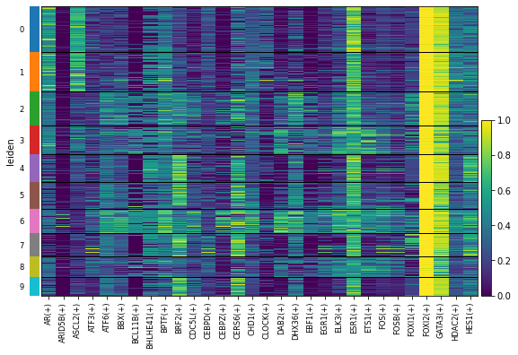 ../_images/tutorials_denoising_and_regulon_inference_24_0.png