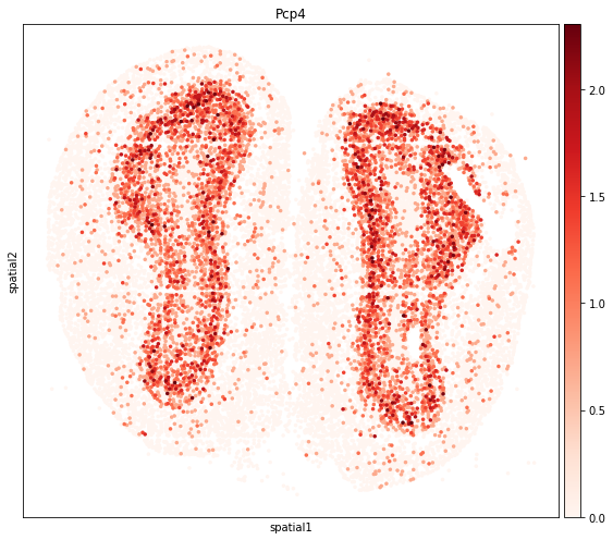 ../_images/tutorials_stereo_seq_olfactory_bulb_30_0.png