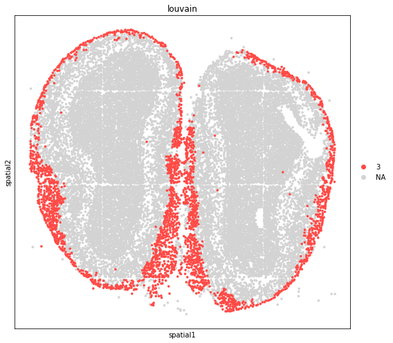 ../_images/tutorials_stereo_seq_olfactory_bulb_31_0.png