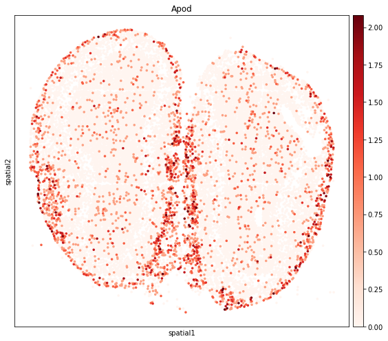 ../_images/tutorials_stereo_seq_olfactory_bulb_32_0.png