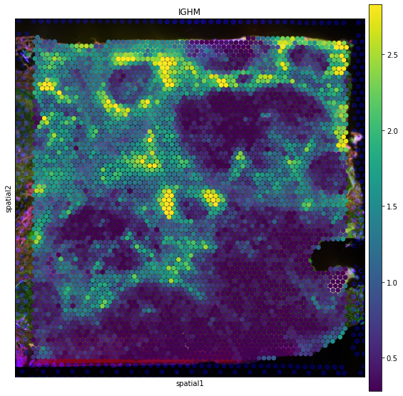 ../_images/tutorials_denoising_and_regulon_inference_14_0.png