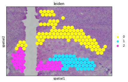 ../_images/tutorials_joint_mouse_brain_18_0.png